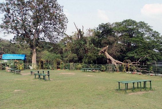 parks-in-kolkata-botanical-gardens