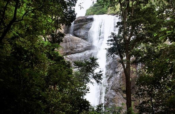 Famous Waterfalls in Kerala-Palaruvi Falls
