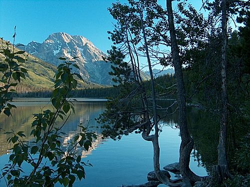 Jenny Lake at Wyoming