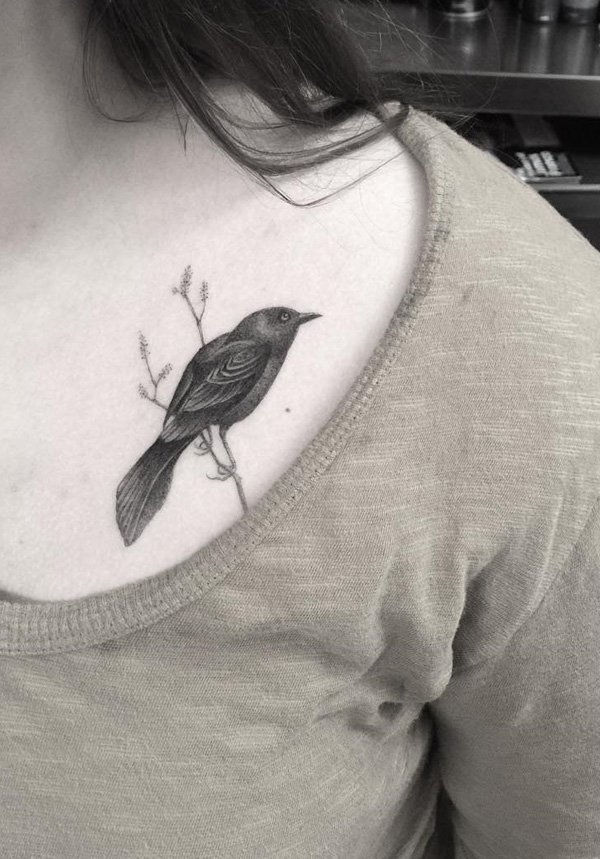 paukščių tatuiruotė-ant krūtinės-98