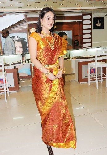 Tamilas actress in saree4