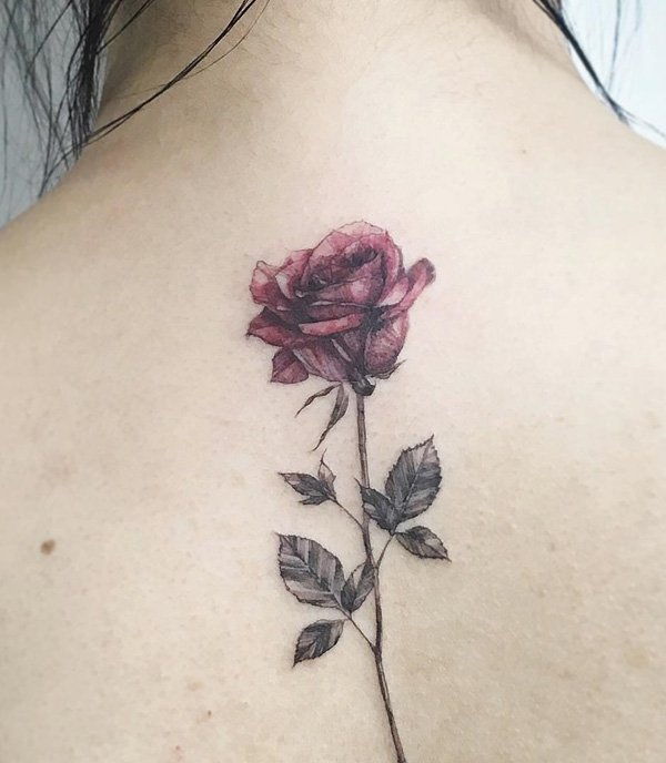 amezing-red-rose-back-tattoo-77