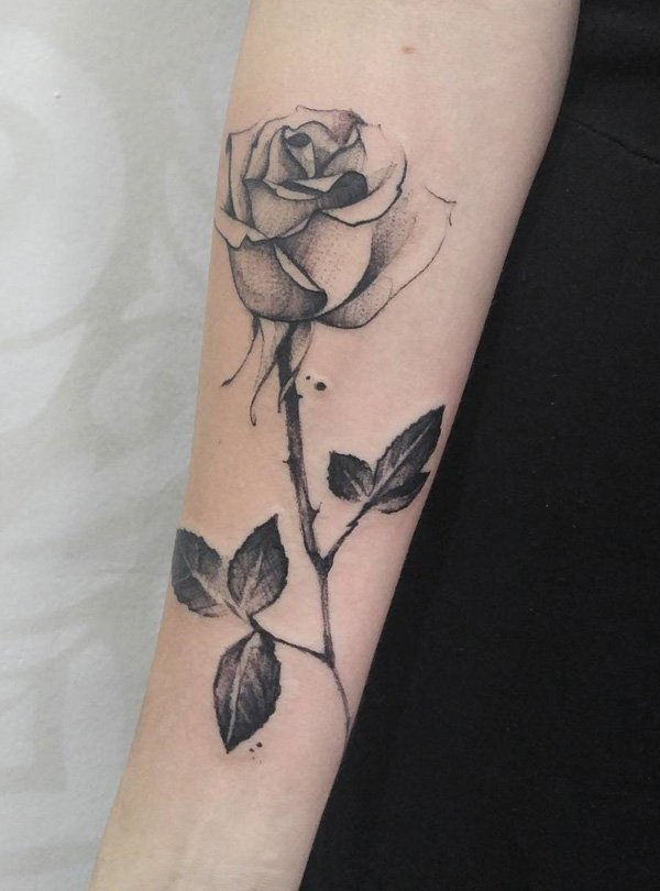 illustrition-black-rose-tattoo-80