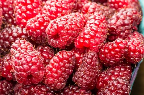 Anti Aging Foods For Skin Red Berries