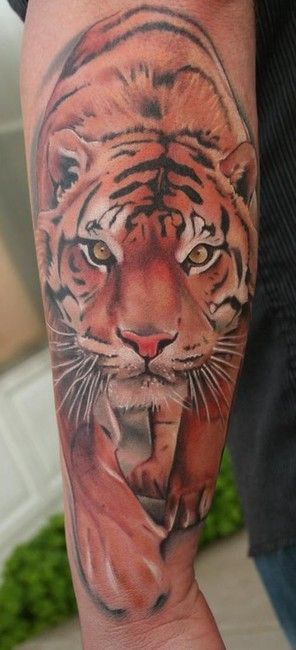 Tigris Tattoo Designs That Will Blow Your Mind Away