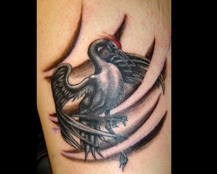 pasăre tattoo designs