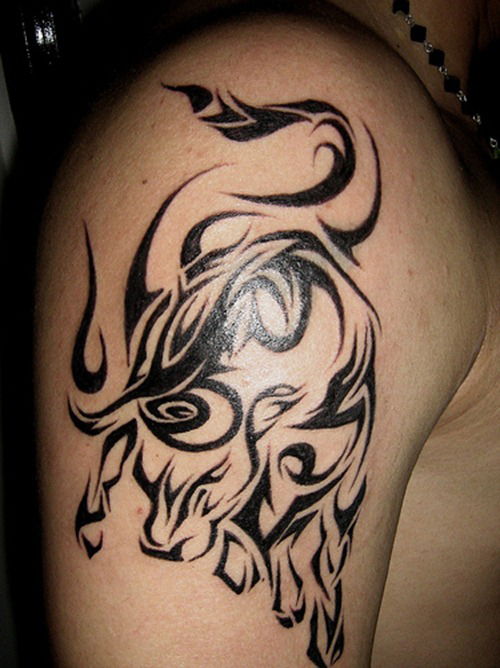 Celtic Bull Tattoo Designs