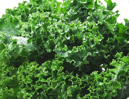 Calcium Rich Foods - Kale