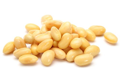 Calcium Rich Foods - Soybeans