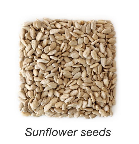 Calcium Rich Foods - Sunflower Seeds