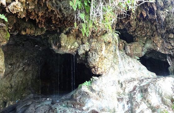Dehradun Tourist Places to Visit-Robber’s Cave
