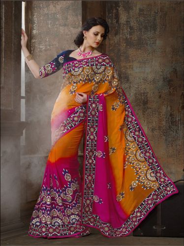 Embroidery Sarees-Multi-Colored Embroidered Saree 3