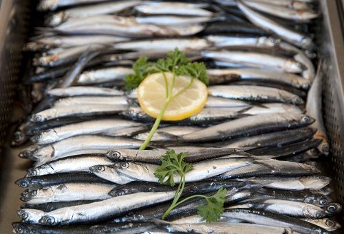 élelmiszerek That Increase Height Rapidly Fish