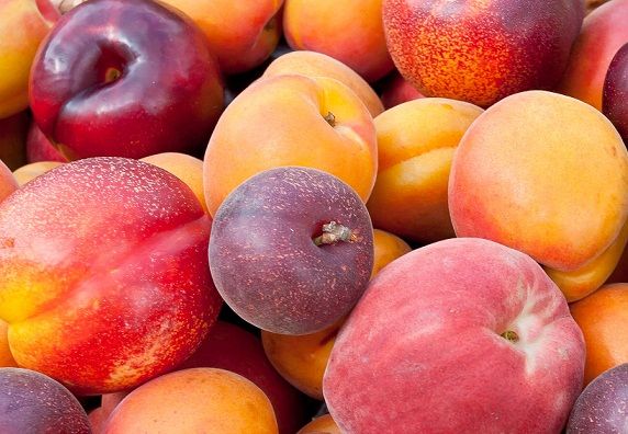 Breskve and Plums Fruits That Can Be Eaten By diabetic Patients 