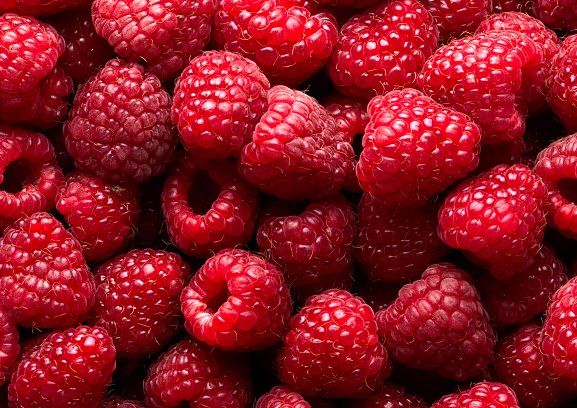 Kaj Raspberries Fruits Are Good For Diabetics 