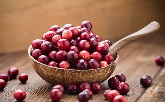 Kateri Fruit Is Good For Diabetes Patient Cranberry