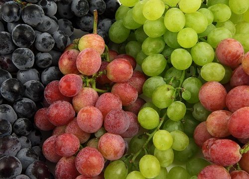 Fruits for Hair Growth - Grapes