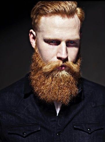 Garibaldi Beard