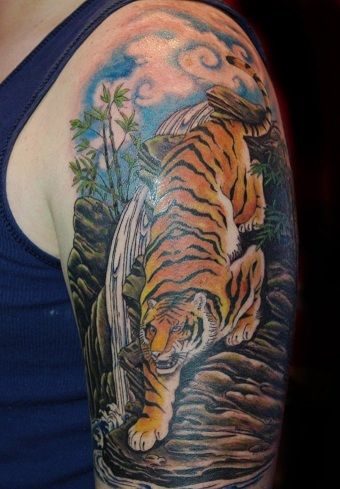 Fél Sleeve Tiger Tattoo Design