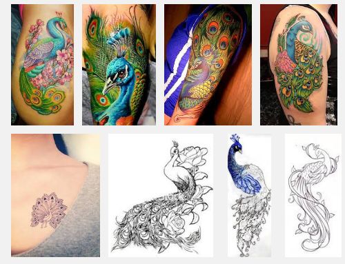 Juoda peacock tattoo design 10