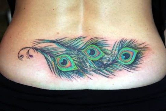 Peacock tattoo designs 5