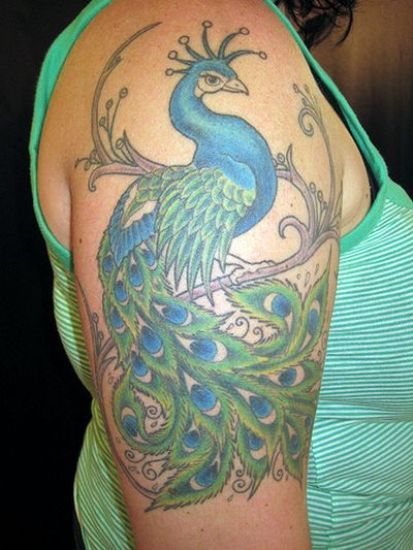 Peacock tattoo designs 4