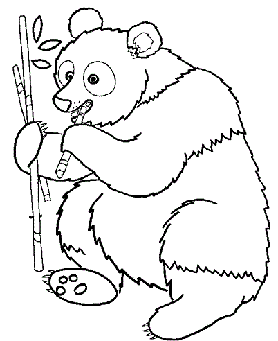 Aranyos Panda Bear Animal Coloring Page