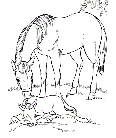 Ūkis Animal Coloring Pages