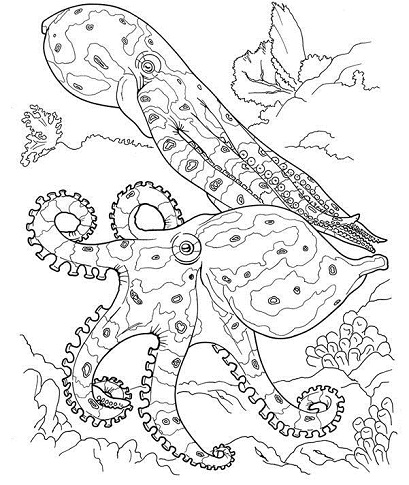 óceán Animal Coloring Pages