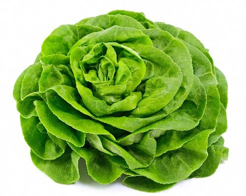 Antioksidantas Rich Foods - Lettuce