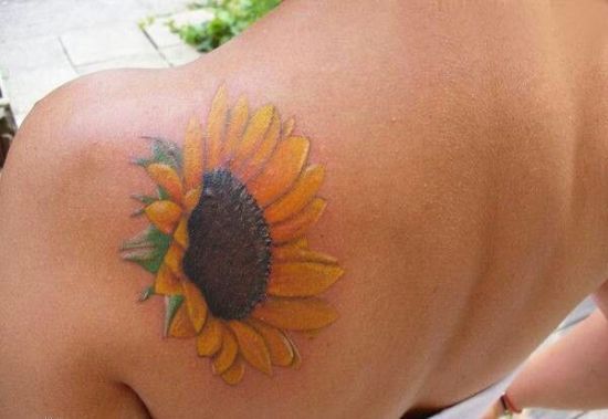 kicsi sunflower