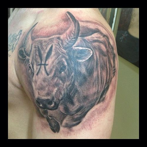Calm Bull Tattoo