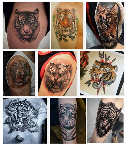 tiger tattoo designs