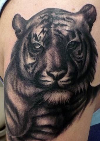 black-tiger-tattoos10