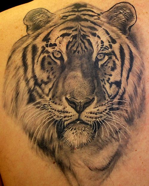 Face of the Tiger Tattoo