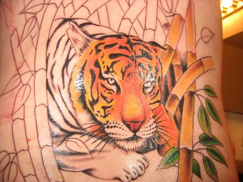Majestic Tiger Tattoo