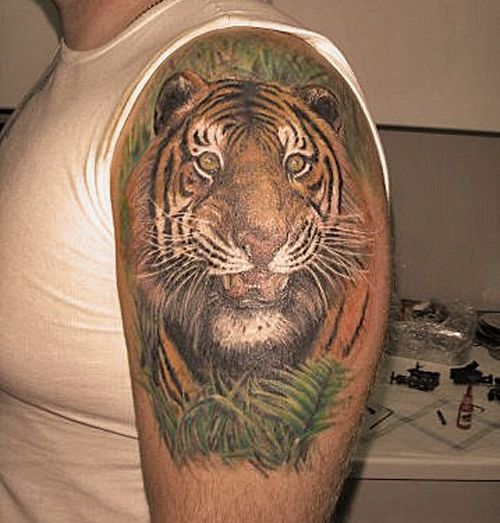 Arm Tiger Tattoo