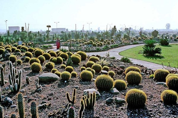 cactus-garden_chandigarh-turistični kraji