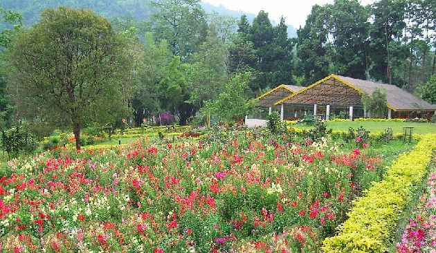 Saramsa-garden_sikkim-turistinės vietos