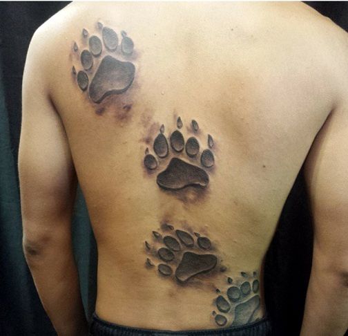 Medve paw print tattoo Designs