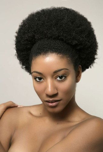 15 skirtingų afroamerikietiškų šukuosenų su nuotraukomis