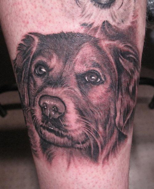 Hišne živali Dog Tattoo