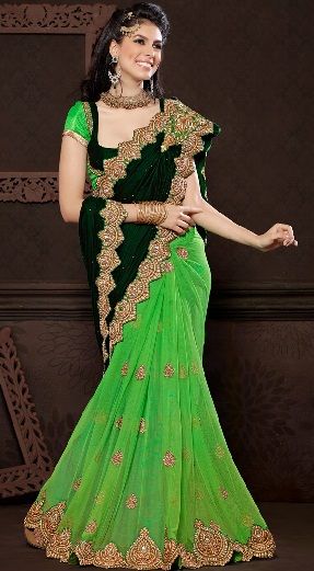 11. Green velvet net butterfly sari
