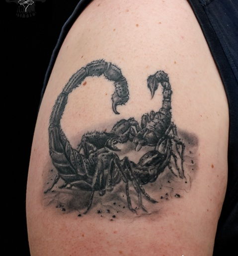 Scorpion Tattoo Designs 12