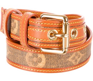 Brown Stitched Belt Design