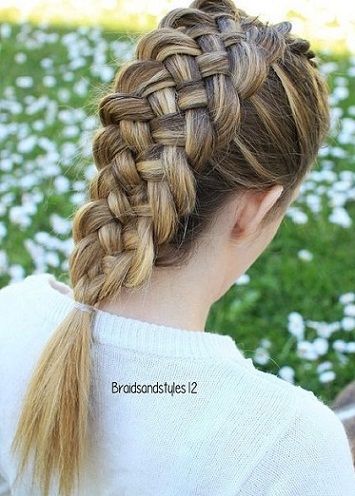 olandeză Braid Hairstyles14