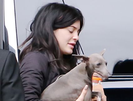 Kylie Jenner without makeup12