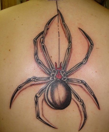 15 Priljubljeni Spider Tattoo Designs s pomeni