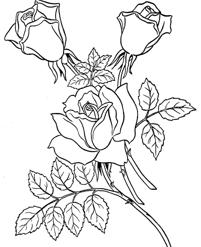 Rožės