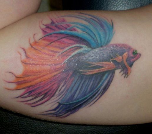 Betta-fish-tatuiruotė